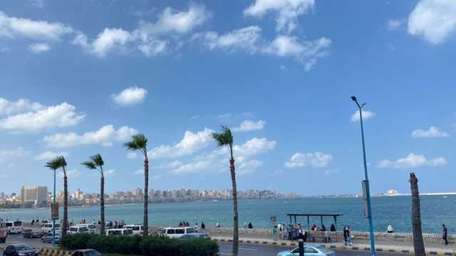 توزيع السكان في محافظة الإسكندرية.. حي المنتزه الأكثر كثافة