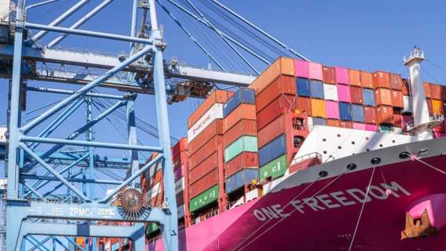 تصدير 43 ألفا و311 طن بضائع متنوعة من ميناء دمياط