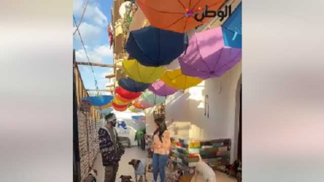 أشهر فندق للكلاب بمصر.. حكايات عن الوفاء النادر