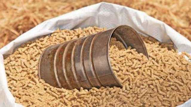 استقرار كبير في أسعار العلف اليوم.. اعرف الطن بكام