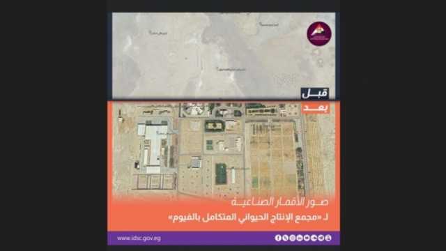 «معلومات الوزراء» ينشر صورة مجمع الإنتاج الحيواني المتكامل في الفيوم