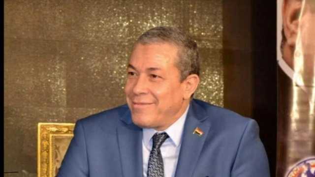 «الجالية المصرية» بباريس تعلن تأييدها للرئيس السيسي: نقل مصر لدولة جديدة