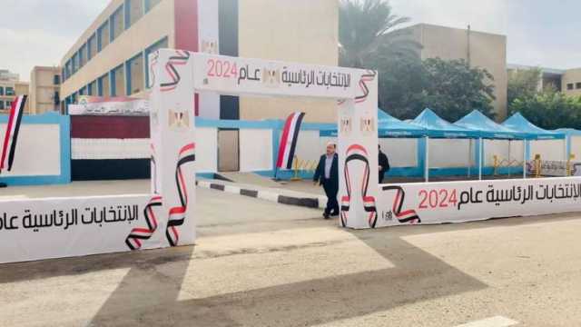 10 لجان عامة لمتابعة سير الانتخابات الرئاسية في الإسماعيلية.. تعرف عليها