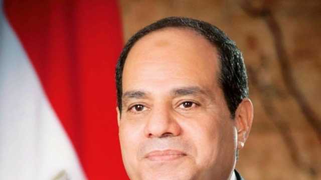 «شباب النواب»: نجاح السيسي الساحق يعكس انحياز المواطنين لاستكمال البناء