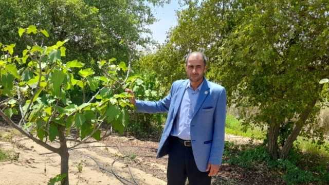 الزراعة «بدون تربة».. حاصلات زراعية بمواصفات عالية وحل لـ«نقص المياه»