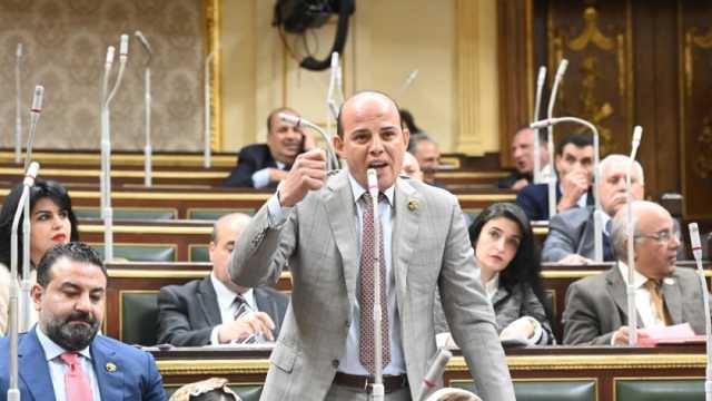 برلماني: مصر تتعامل بحكمة مع تطورات الأوضاع في رفح الفلسطينية