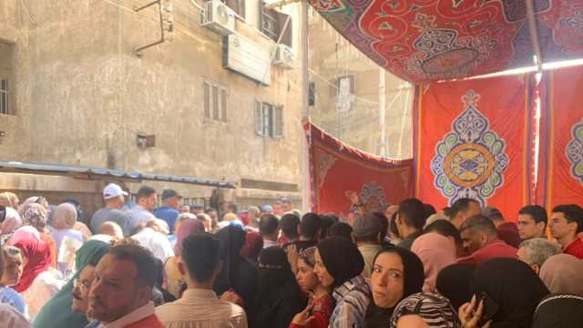 أستاذ علوم سياسية: فترة جمع التوكيلات كافية.. والتحول الرقمي سهل الأمر