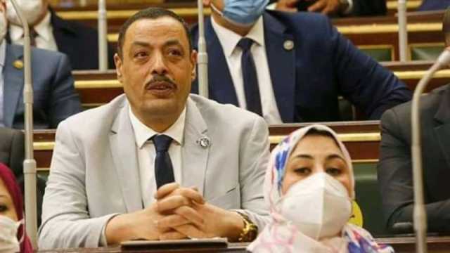 برلماني: لدينا 47 ألف طالب وافد للدراسة في مصر
