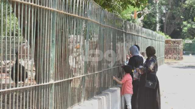 «الزراعة»: اهتمام كبير بحدائق الحيوان في المحافظات تزامنا مع عيد الأضحى