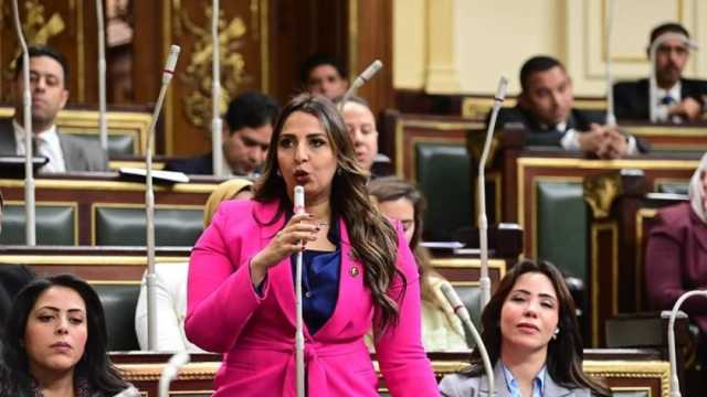 نائبة التنسيقية تؤكد أهمية مشروع قانون الأوسمة والأنواط المدنية