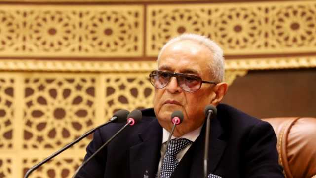 بهاء أبو شقة: 33 مليون مصري شاركوا بثورة 30 يونيو في وقت واحد