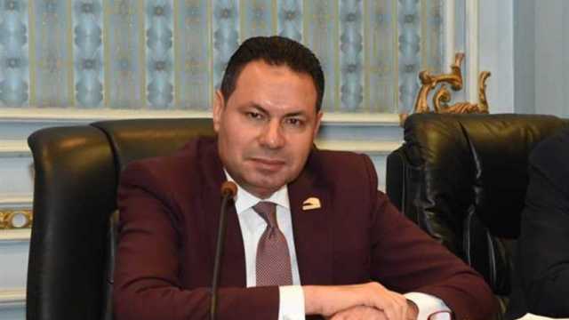 رئيس «زراعة النواب»: ارتفاع حجم الإنتاج المحلي من اللحوم والألبان