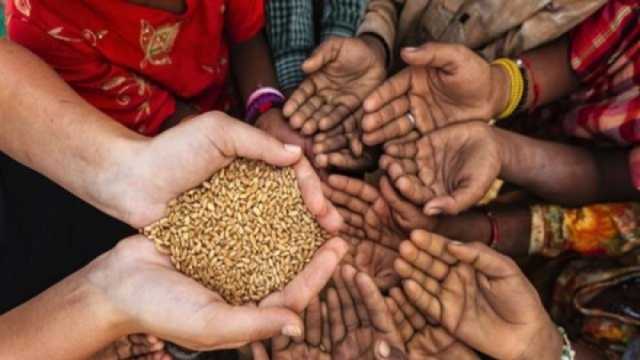 خبير علاقات دولية: 2024 عام انعدام اليقين بتوفير الأمن الغذائي