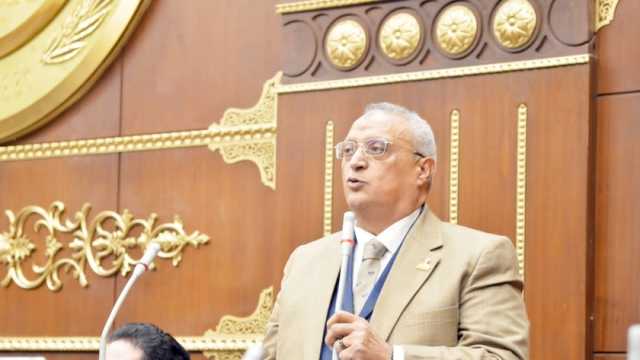 «نواب»: السيسي حريص على تنوع العمل الحزبي.. والانتخابات أعادت الروح للحياة السياسية