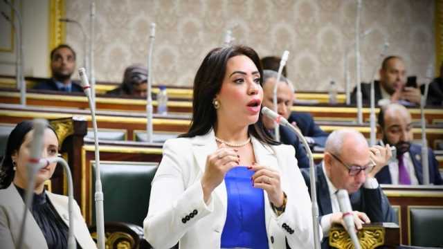 نائبة عن التنسيقية: مصر نجحت في حلحلة الأزمة الفلسطينية بإقرار الهدنة