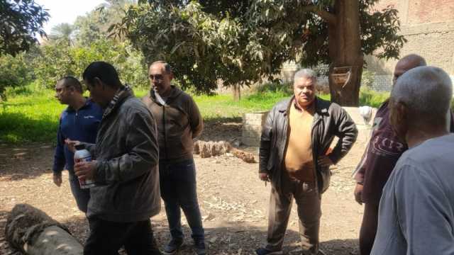 «الزراعة»: تقديم توصيات فنية لمزارعي البساتين والمشاتل في المنيا