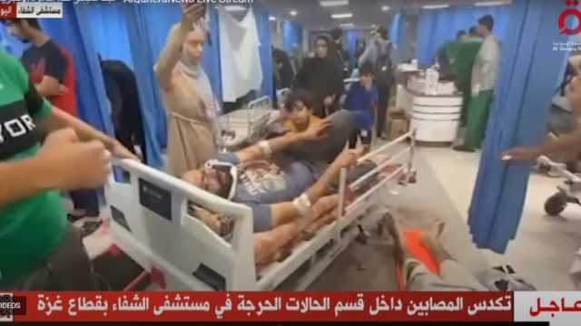 سفيرة فلسطين لدى كندا: الاحتلال الإسرائيلي يمارس إبادة جماعية في غزة