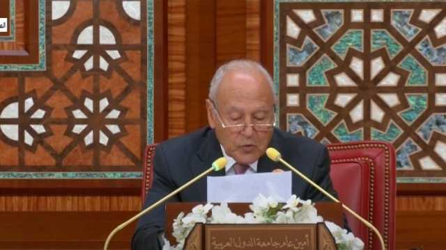 أبو الغيط: النكبة التاريخية لن تمحو الفلسطينيين.. والجرح في السودان غائر