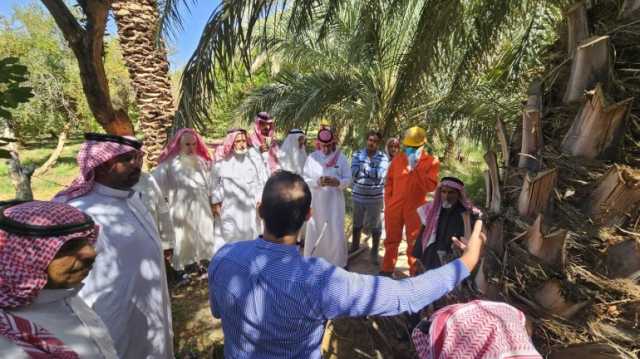 ورشة عمل لإدارة آفة سوسة النخيل الحمراء بمحاني الطائف