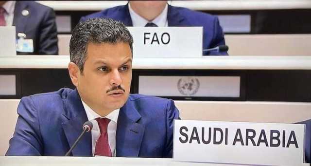 ‎المندوب الدائم للمملكة بالأمم المتحدة: سياسة ازدواجية المعايير بالقوانين لها عواقب وخيمة