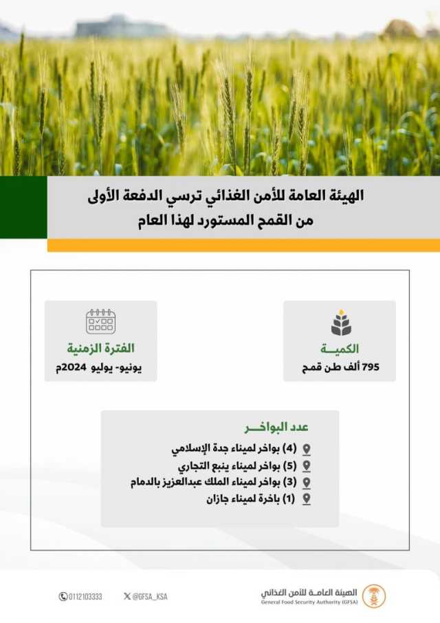 بكمية 795.000 طن.. “الأمن الغذائي” ترسي الدفعة الأولى من القمح المستورد للعام الجاري