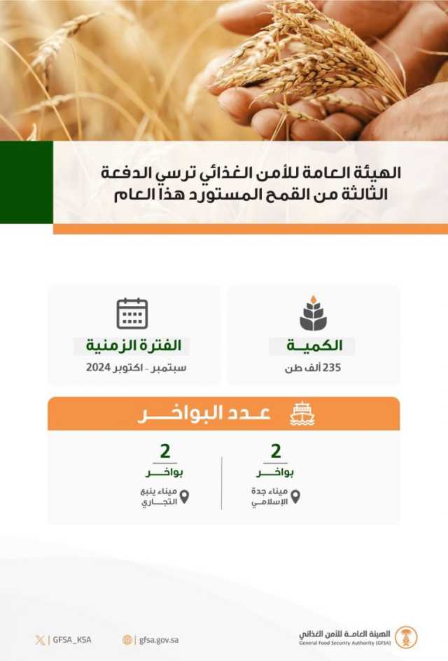 بكمية “235.000” طن.. “الأمن الغذائي”: إتمام ترسية الدفعة الثالثة من القمح المستورد لعام 2024