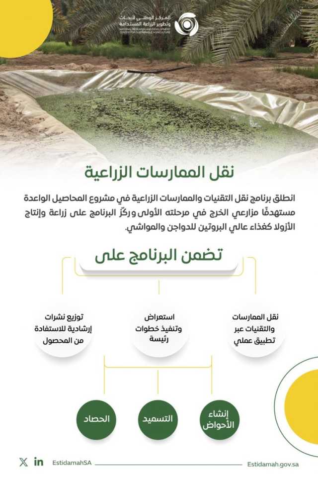 ضمن برنامج “نقل التقنيات والممارسات الزراعية”.. “استدامة” تستهدف زراعة نبات الأزولا لتغذية الدواجن والمواشي