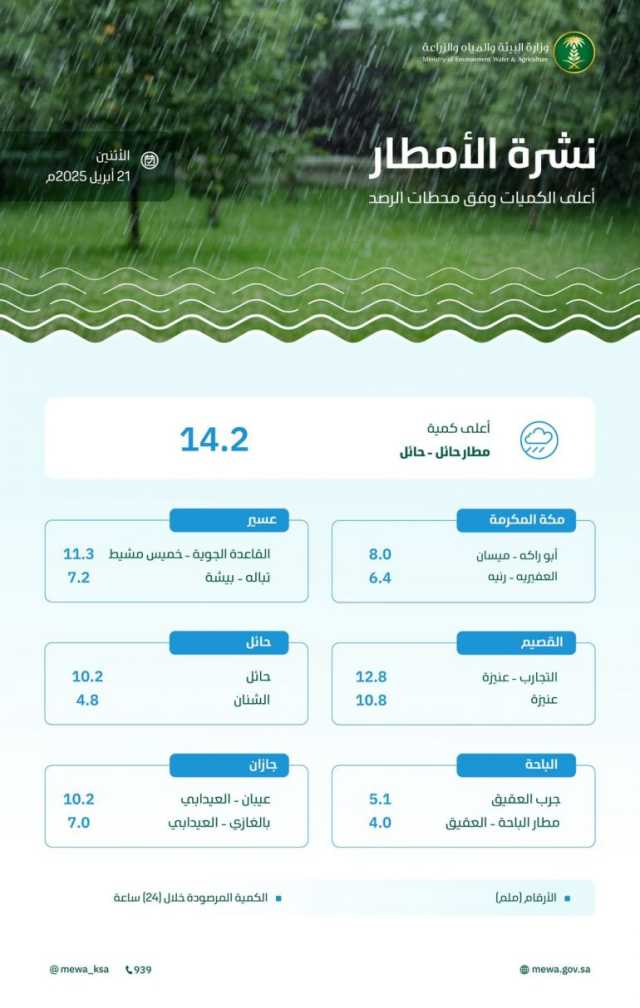 حائل الأعلى معدلاً بـ14.2 ملم.. هطول أمطار بكميات متفرقة على 10 مناطق خلال الـ24 ساعة الماضية