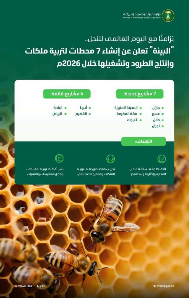 “البيئة”: إنشاء 7 محطات لتربية ملكات النحل وإنتاج الطرود وتشغيلها عام 2026م