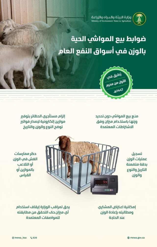 أعلنت ضوابطه وآلياته.. “البيئة”: تطبيق قرار بيع المواشي الحية بالوزن الخميس المقبل في أسواق النفع العام