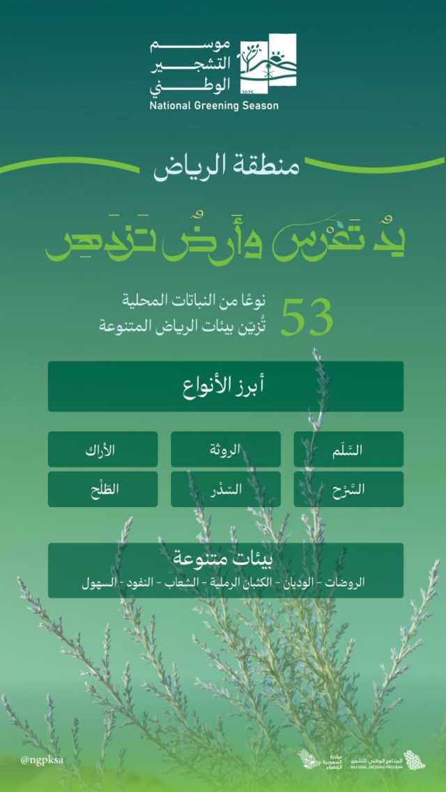 البرنامج الوطني للتشجير: الطلح والسدر والسَّلَم أبرز أنواع النباتات المحلية الملائمة للتشجير في الرياض