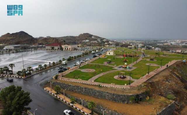 أمطار رعدية على بعض مناطق المملكة