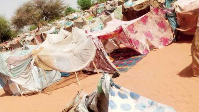 «شبكة حقوقية» تتهم الدعم السريع بالاستيلاء على مواد إغاثة مخصصة للنازحين بوسط دارفور