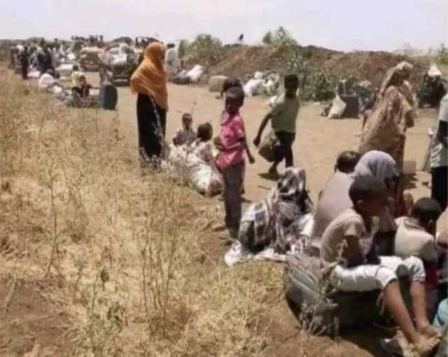 تجمع نداء الوسط : الدعم السريع أرتكب مجزرة جديدة بولاية الجزيرة