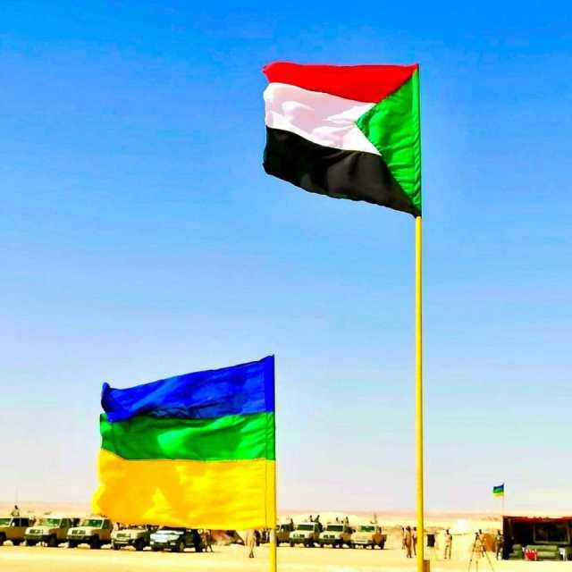 «حركة/جيش تحرير السودان» تدين انتهاكات الدعم السريع وتصفها بـ” البربرية”