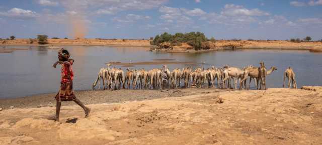 من هايتي إلى إثيوبيا: شهادات المهجرين بسبب المناخ في قمة بيليم