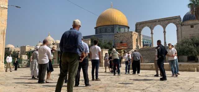 قطعان المستوطنين الصهاينة يقتحمون باحات الأقصى ويؤدون طقوسا تلمودية