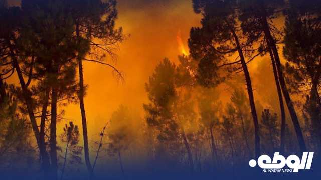 “أمن أجدابيا” تحذر من حدوث نشوب حرائق في الغابات