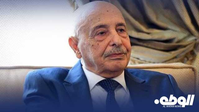 المستشار “صالح”: تنظيم عمل القضاء من اختصاص مجلس النواب وليس تدخلاً في استقلاله