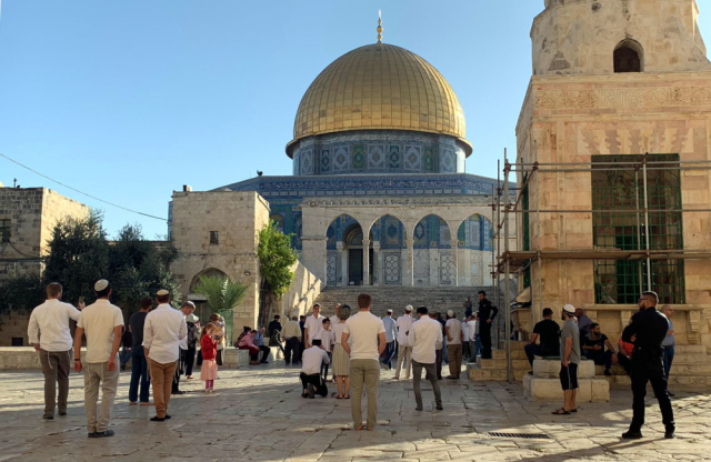 مئات المستوطنين يقتحمون 'الأقصى'.. والاحتلال يعتقل 11 فلسطينيًا بالضفة