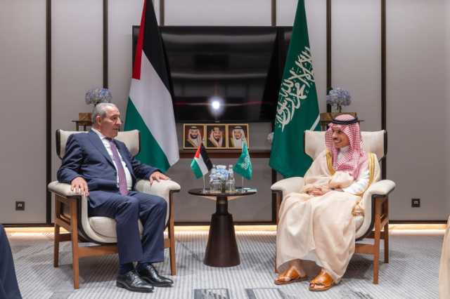 وزير الخارجية يبحث تطورات الأوضاع مع نائب رئيس دولة فلسطين