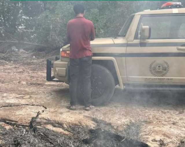 الشرقية.. ضبط مقيم مخالف لنظام البيئة بحرق مخلفات زراعية