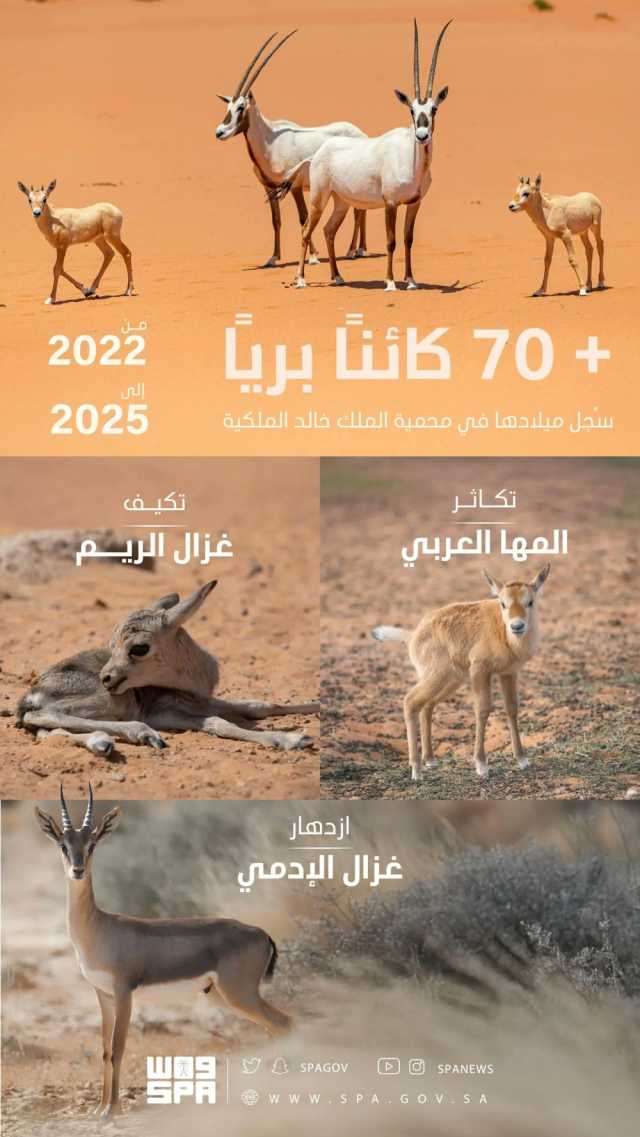تسجيل ولادة 74 حيوانًا بريًا في محمية الملك خالد الملكية
