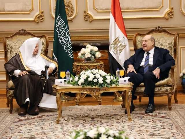 رئيس الشورى يبحث سبل التعاون الثنائي مع رئيس الشيوخ المصري