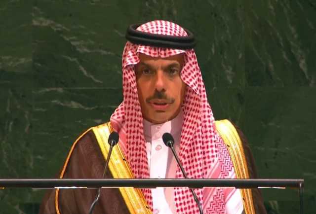 وزير الخارجية بمؤتمر 'حل الدولتين': السلام لا يتحقق عبر سلب الحقوق