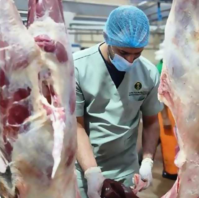 عاجل: إتلاف 3.9 طن من اللحوم الفاسدة في حوش عشوائي جنوب جدة