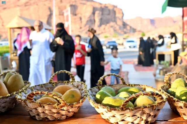 موسم الفواكه الصيفية في العُلا.. أجواء تعكس أصالة الموروث الزراعي