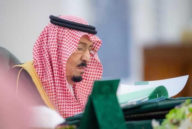مجلس الوزراء يرحب ببيان الشركاء الدوليين المطالب بوقف الحرب في غزة - عاجل