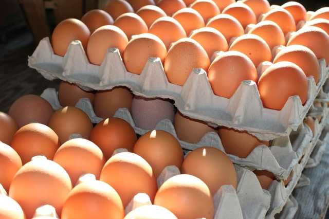 ضبط منشأة لمخالفتها أنظمة استيراد وتداول المنتجات الغذائية