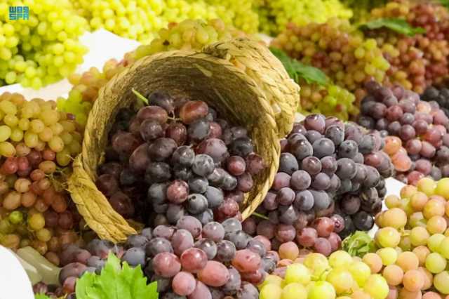 العنب في القصيم.. محصول يرفع كفاءة الإنتاج ويحقق الأمن الغذائي